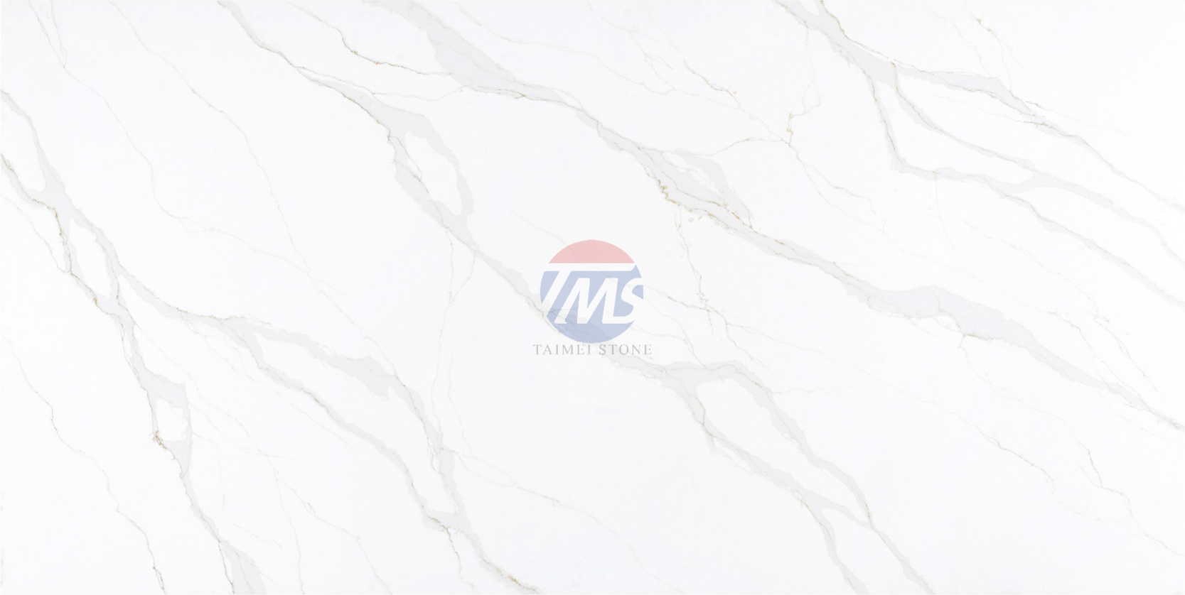 5136-S-1_-_副本_(2).png