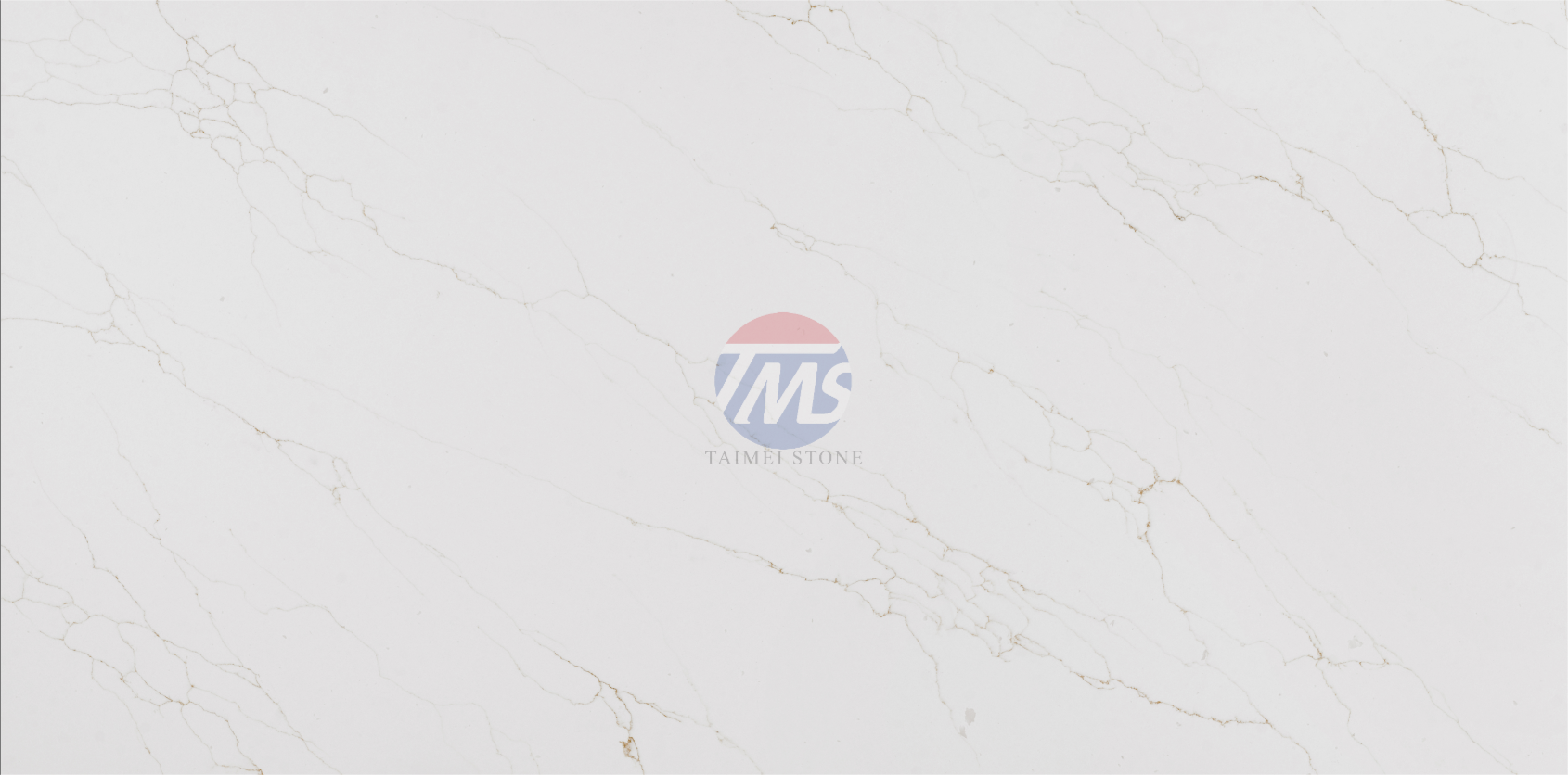 5106-S-1.png