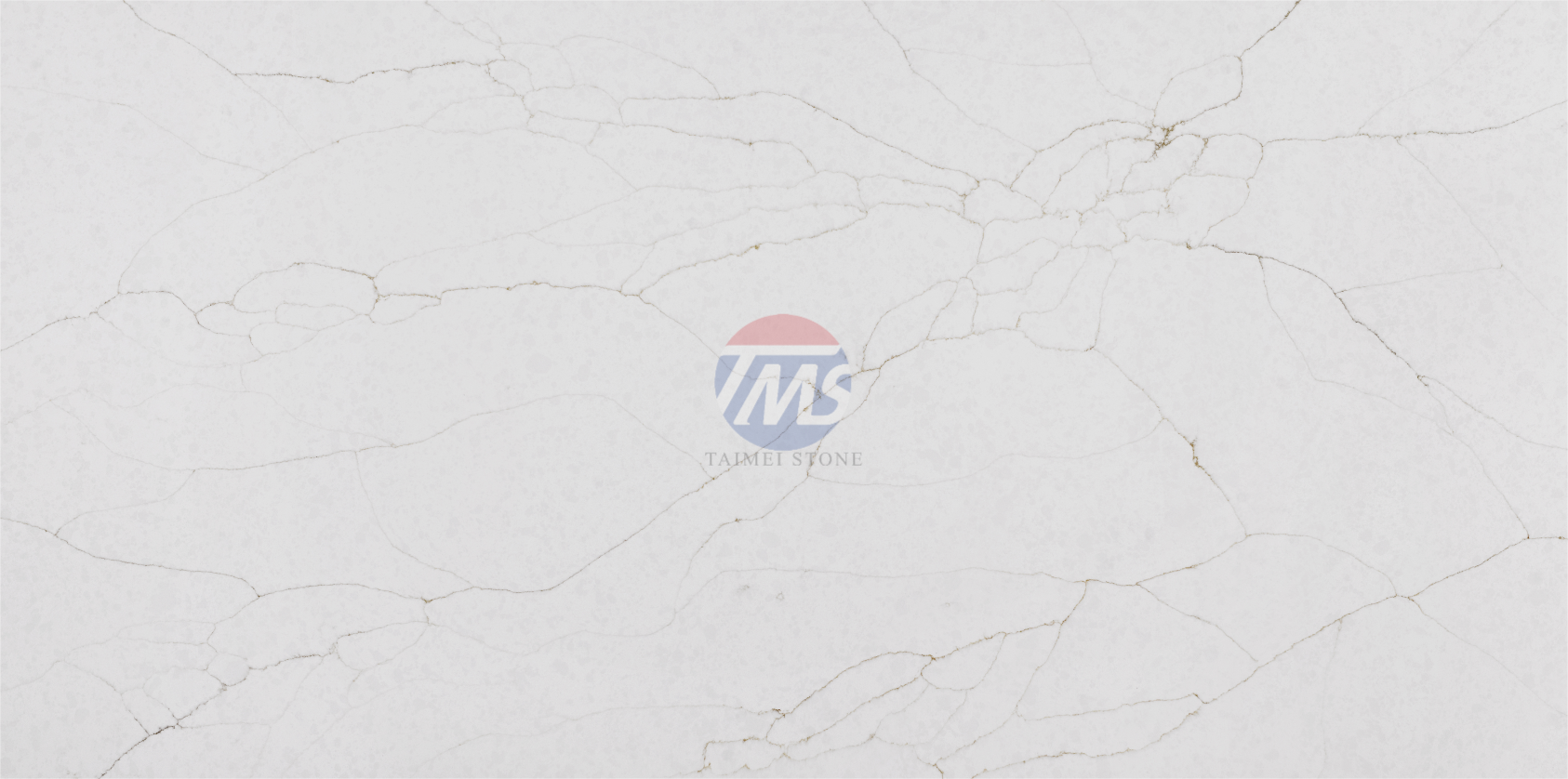 5362-S-2.png